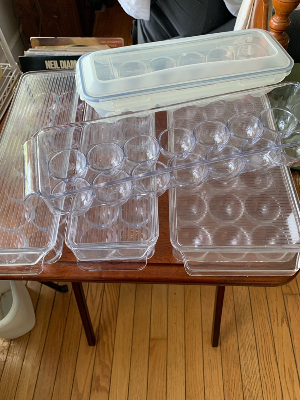 Clear Plastic Egg and Food Storage Trays - Set of Multiple
